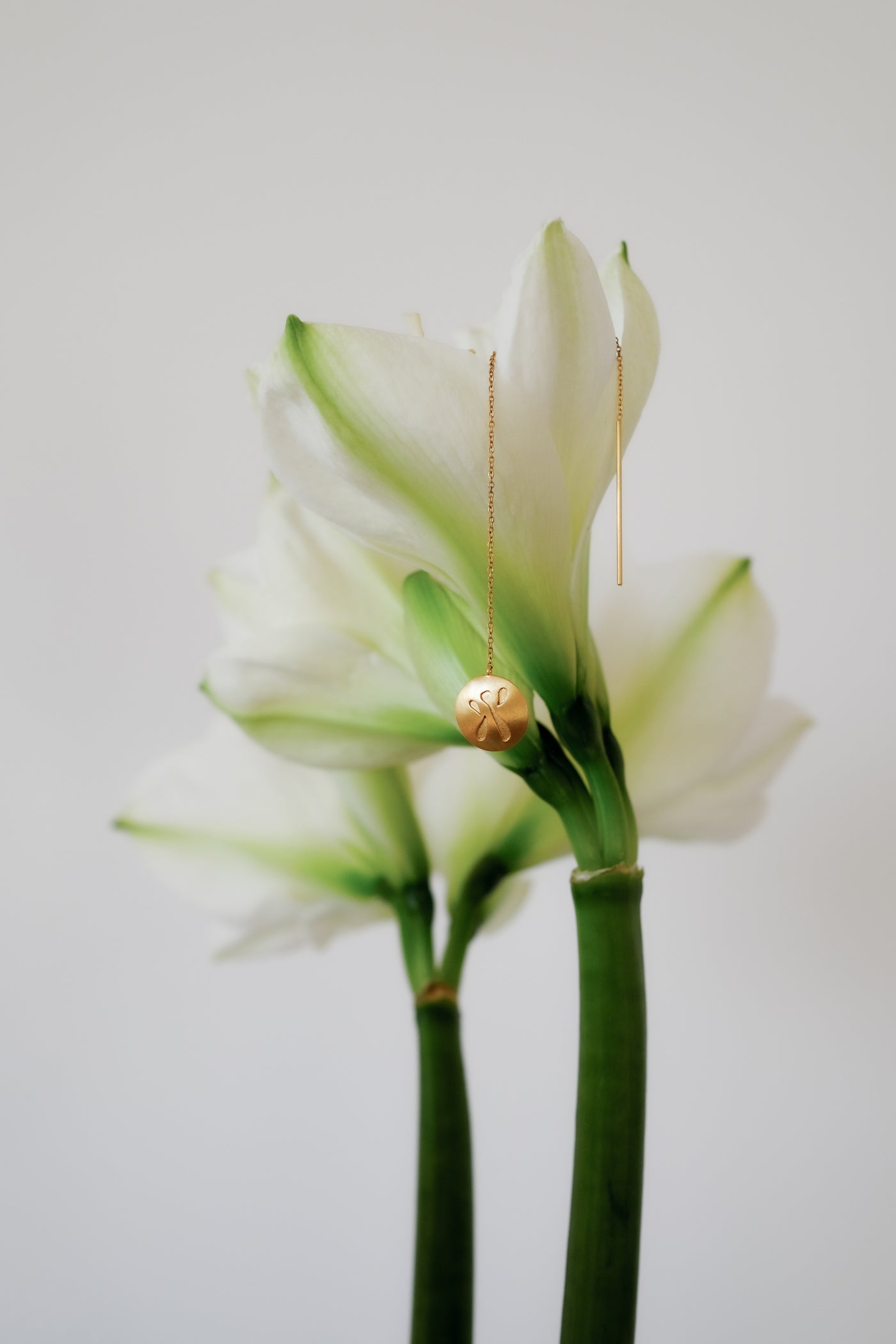 Single Drop Earring